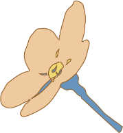 花的圖像
